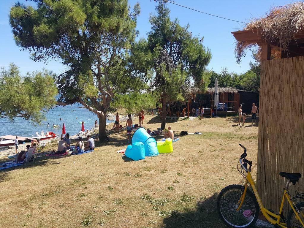 Studio apartman Palmira Liznjan Bagian luar foto