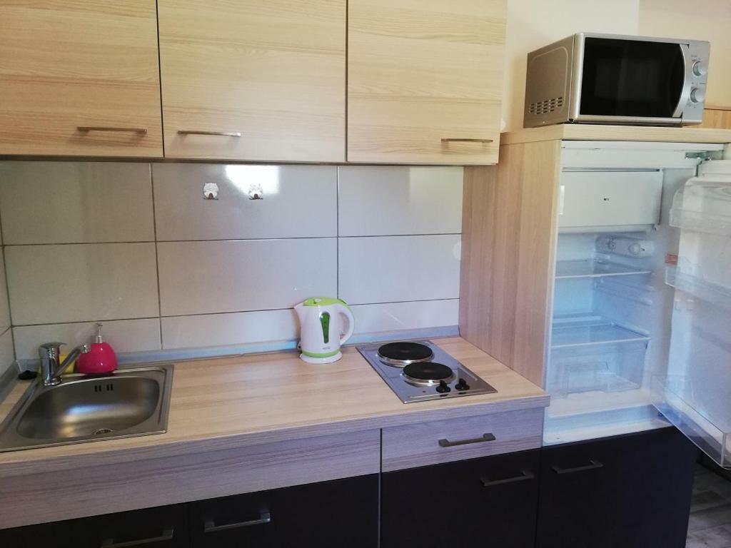 Studio apartman Palmira Liznjan Bagian luar foto