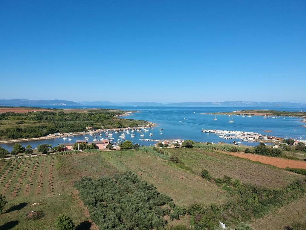 Studio apartman Palmira Liznjan Bagian luar foto